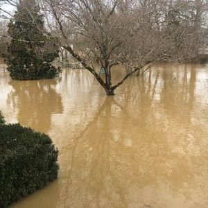 Meet your Posher, Colette